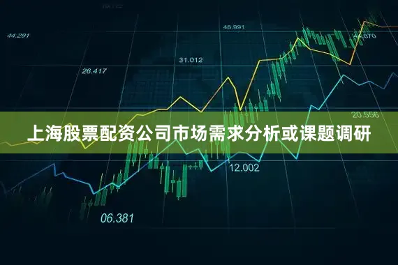 上海股票配资公司市场需求分析或课题调研
