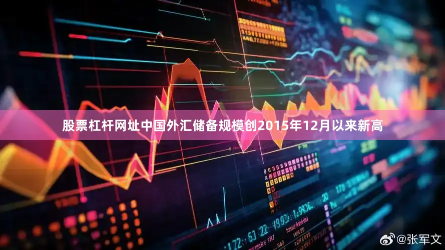 股票杠杆网址中国外汇储备规模创2015年12月以来新高
